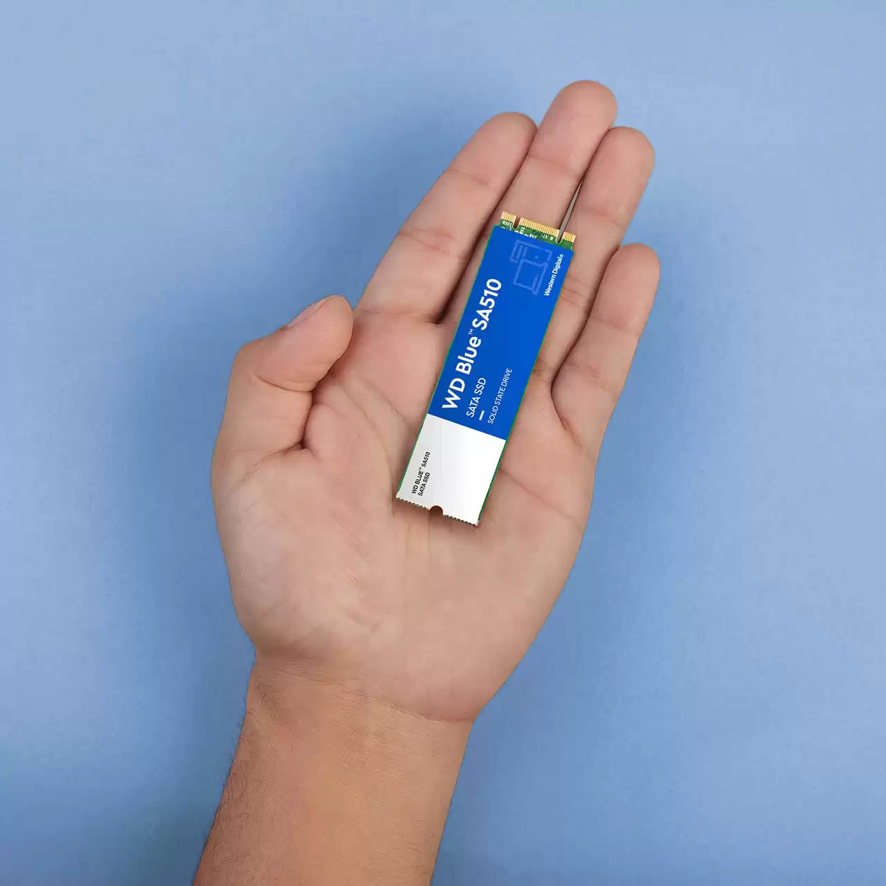 WDS100T3B0B | WesternDigital WD Blue SATA3 6Gbps(SATA6G) M.2 SSD SA510シリーズ 1TB